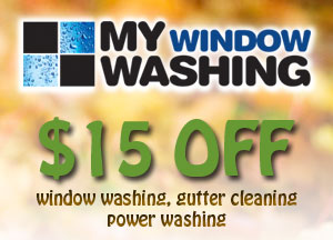 window and gutter cleaning coupon