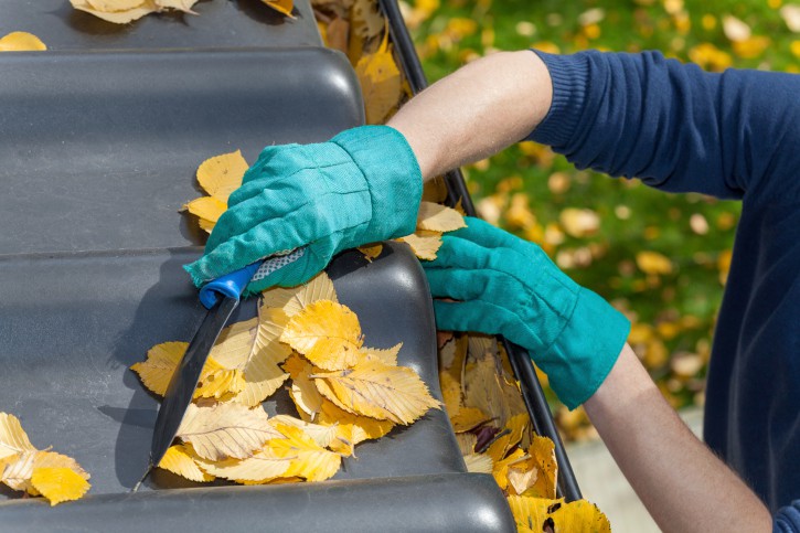 gutter cleaning services