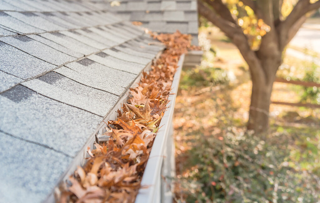 dry leaves in the house gutters