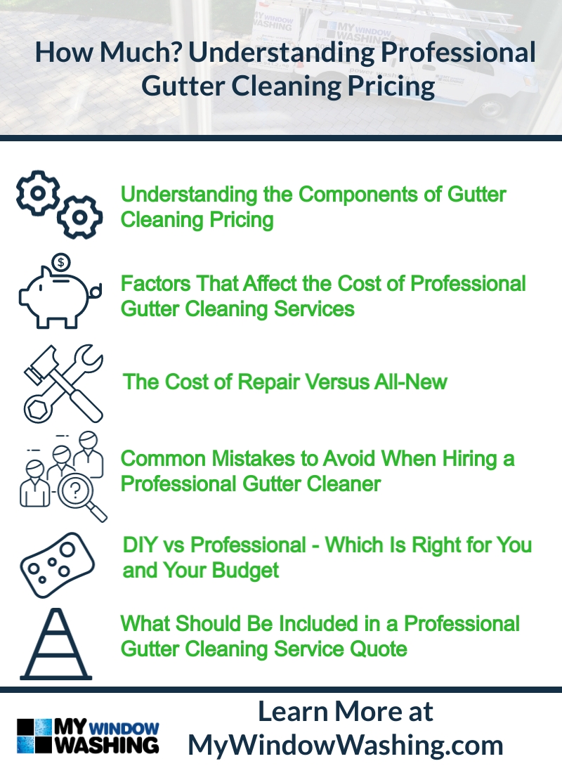 How Much? Understanding Professional Gutter Cleaning Pricing