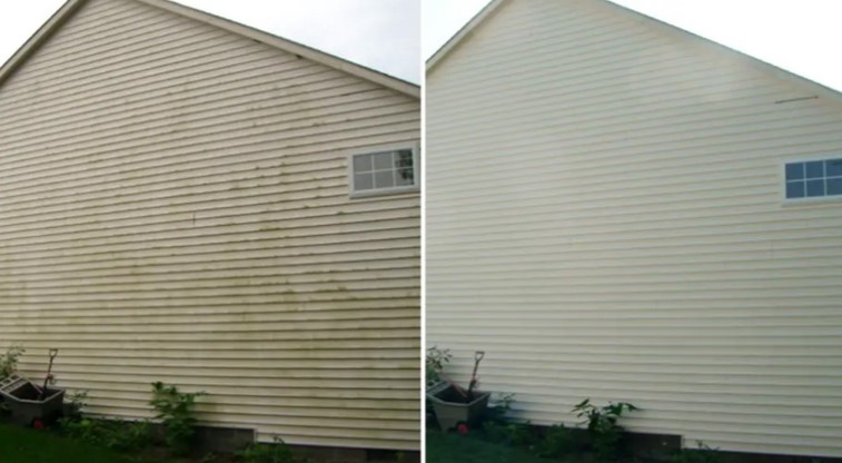 Professional Gutter Cleaning Company Near Me