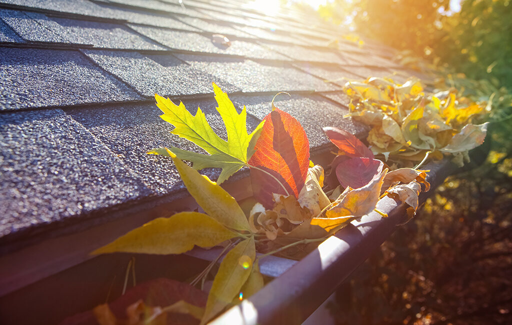 autumn leaves in the gutters