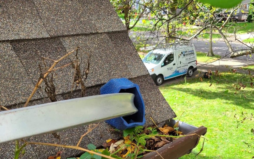 How Often Should Homeowners Have Their Gutters Cleaned