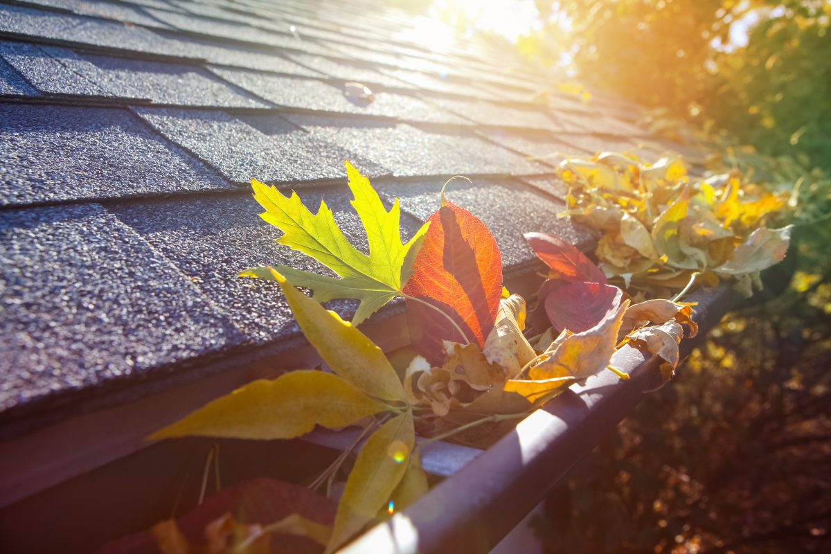 gutter cleaning services