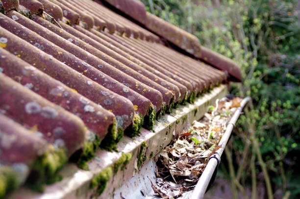 gutter and downspout cleaning