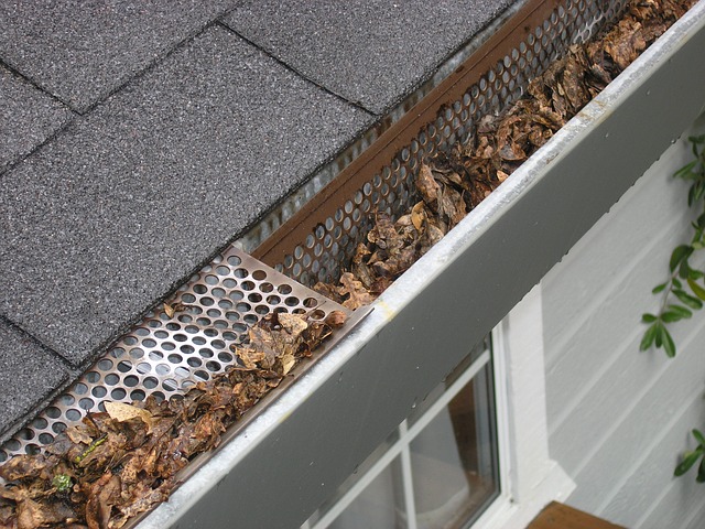 clogged gutters