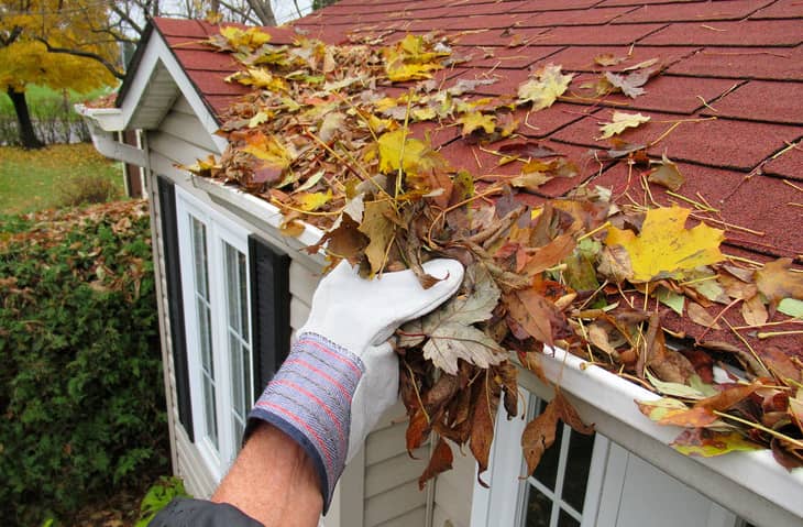 clean gutters in the fall to prevent ice dams in the winter 