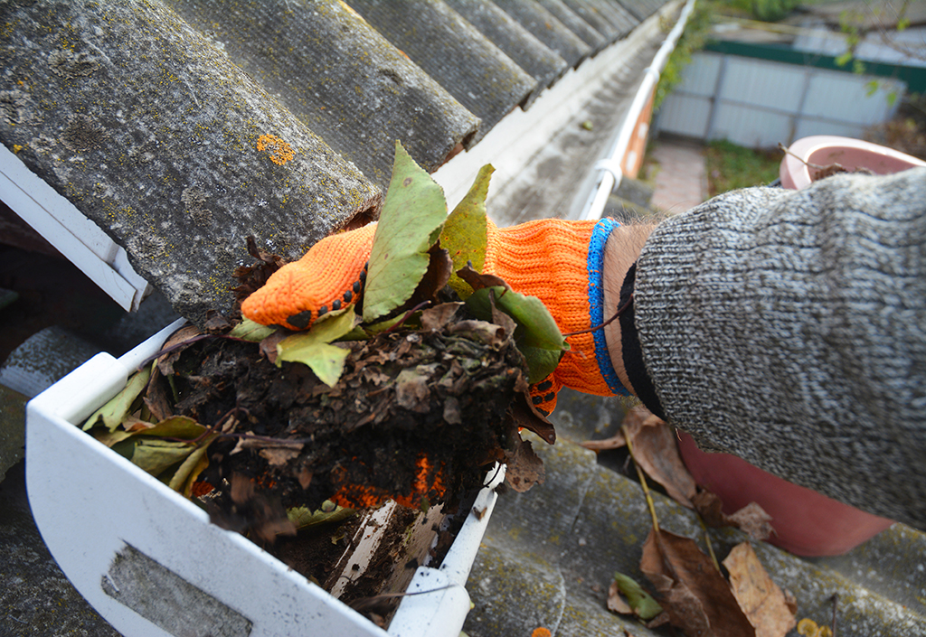 hand of the person cleaning gutters