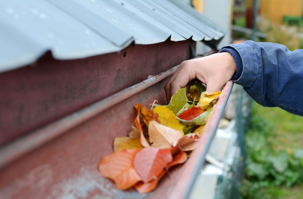 fall gutter cleaning