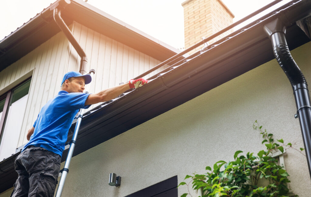gutter cleaning