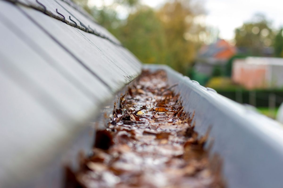 Gutter Cleaning Services in Hooks TX