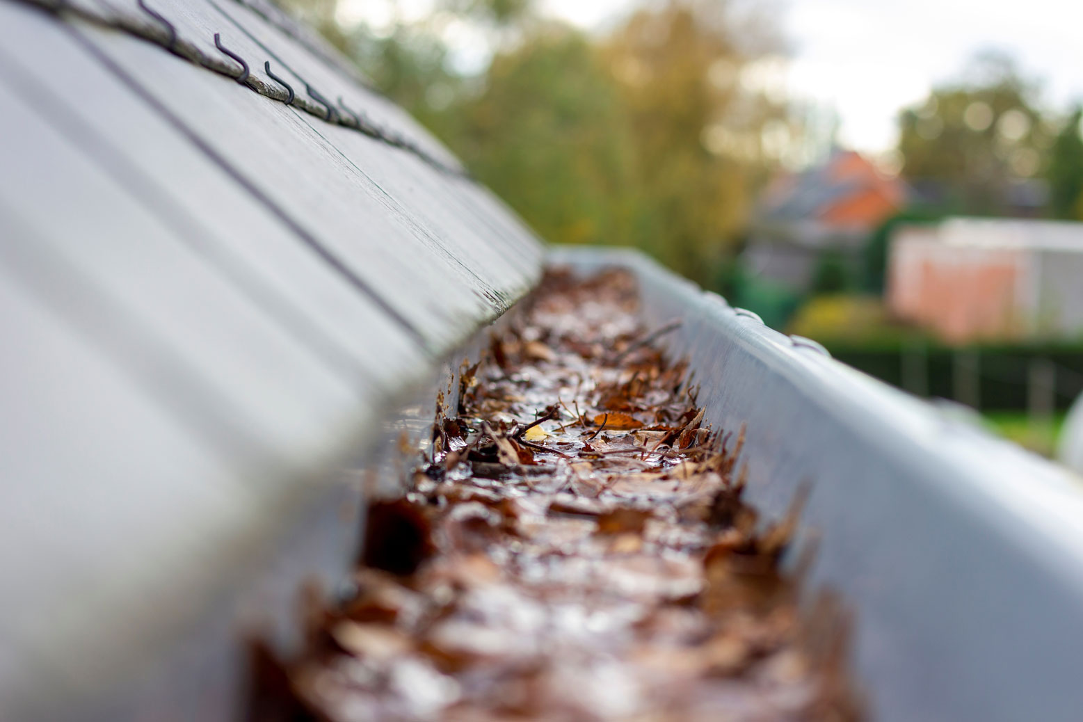 gutter cleaning in the fall