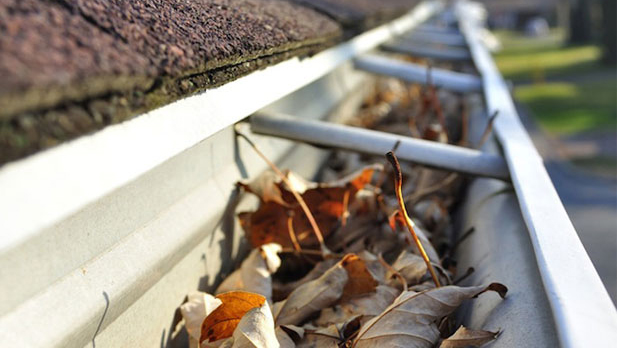 clean out the entire gutter system to prevent water damage
