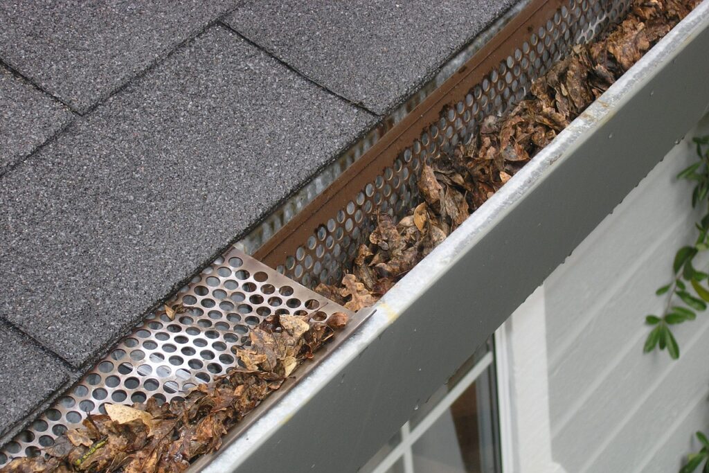 Why You Should Never Attempt to Clean the Gutters Yourself