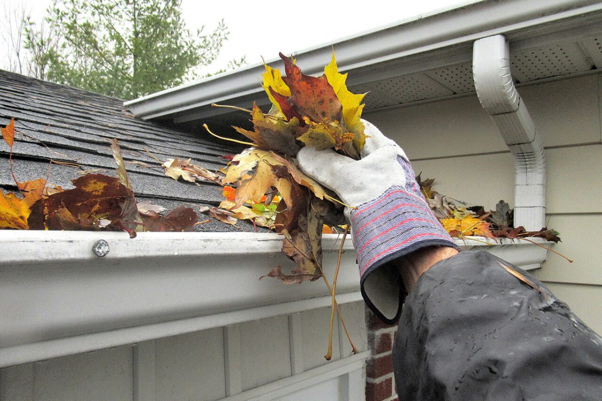 Gutter cleaning costs in 2022