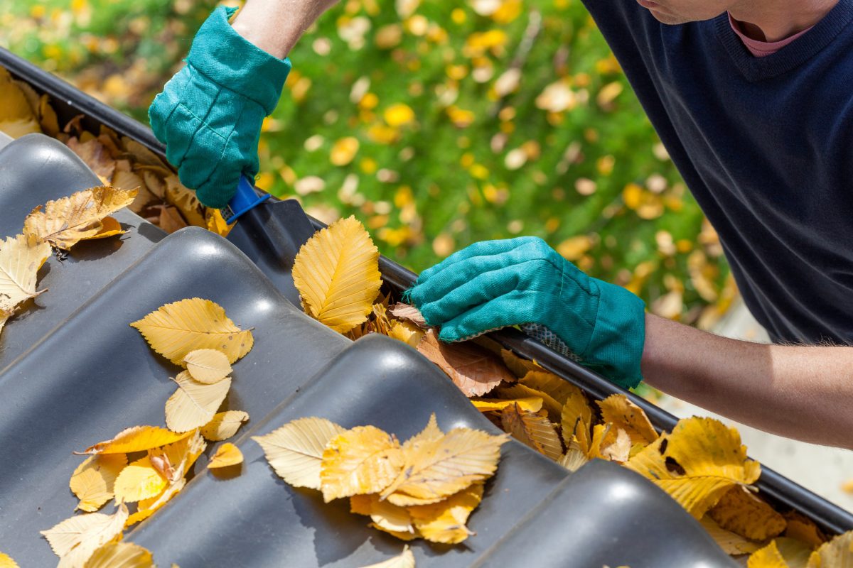 how often should you clean your gutters