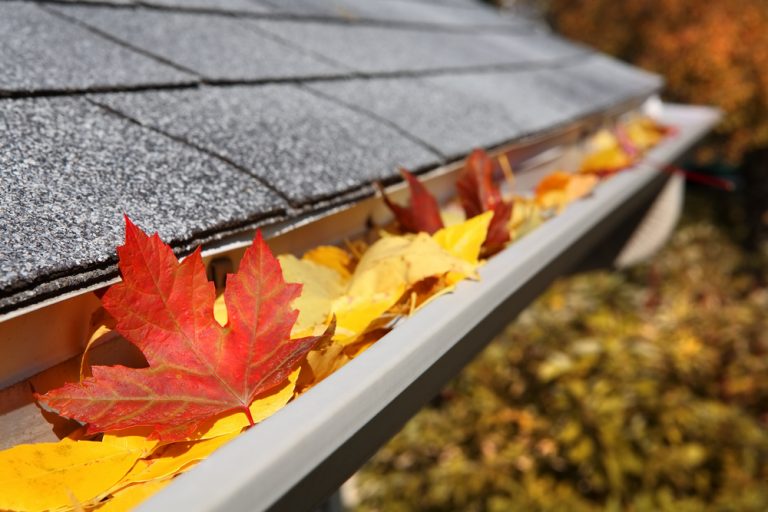 Fall Cleaning Tips: How to Clean Your Gutter Right