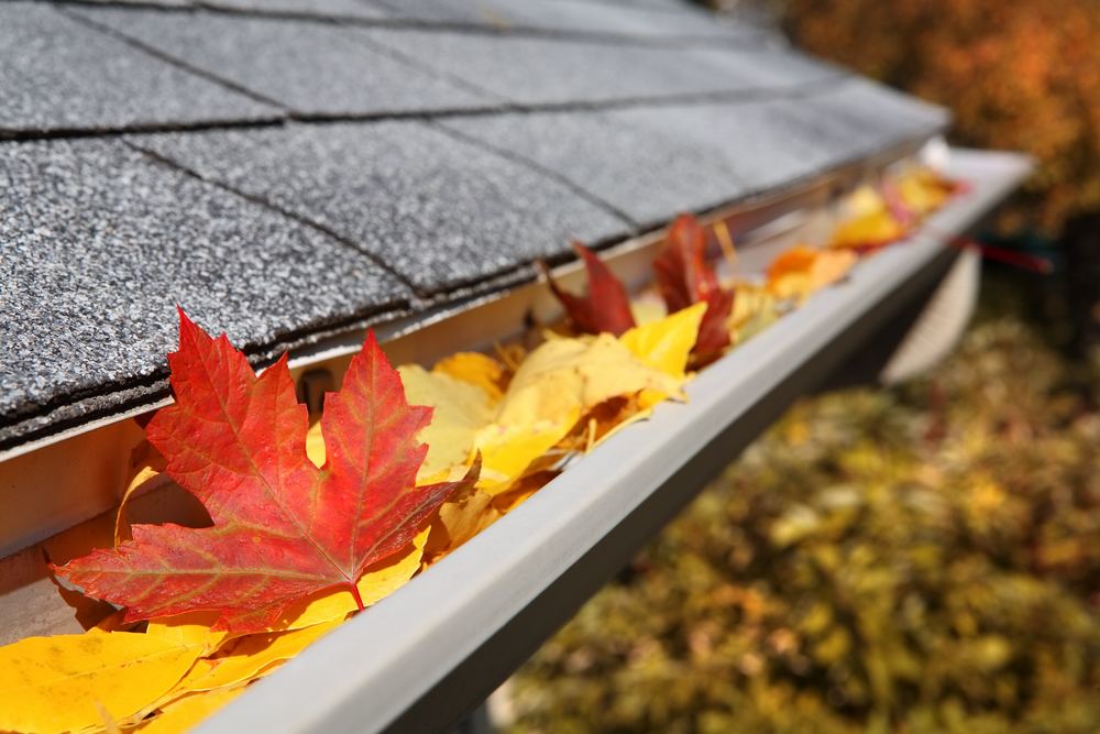 gutter cleaning services