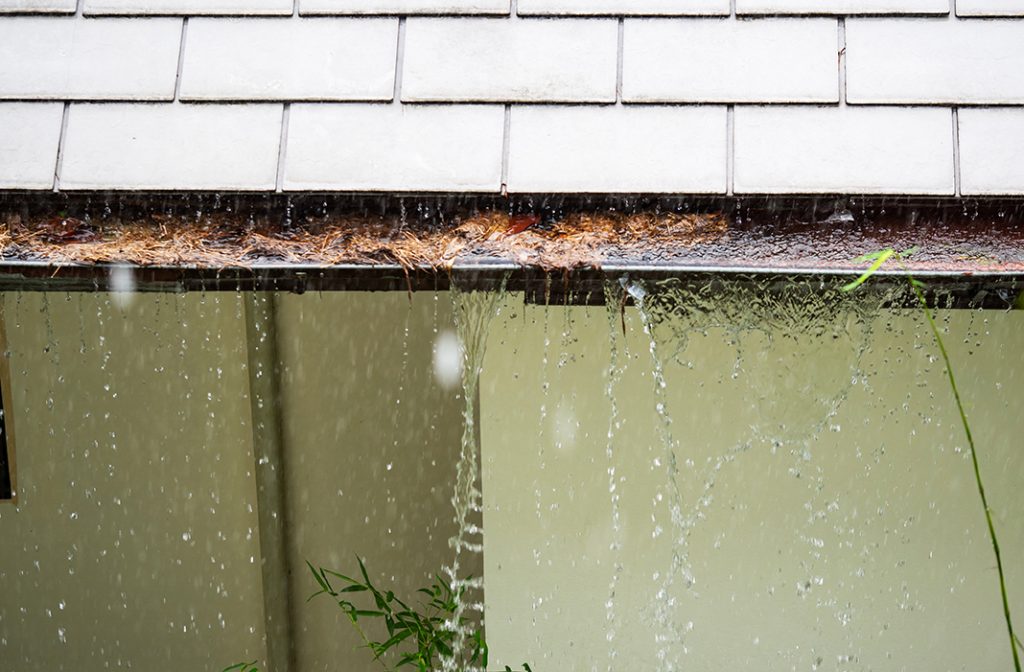 Clogged overflowing gutters