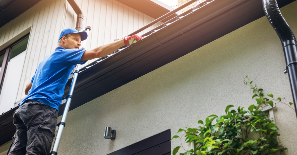 More About Our Gutter Cleaning Services