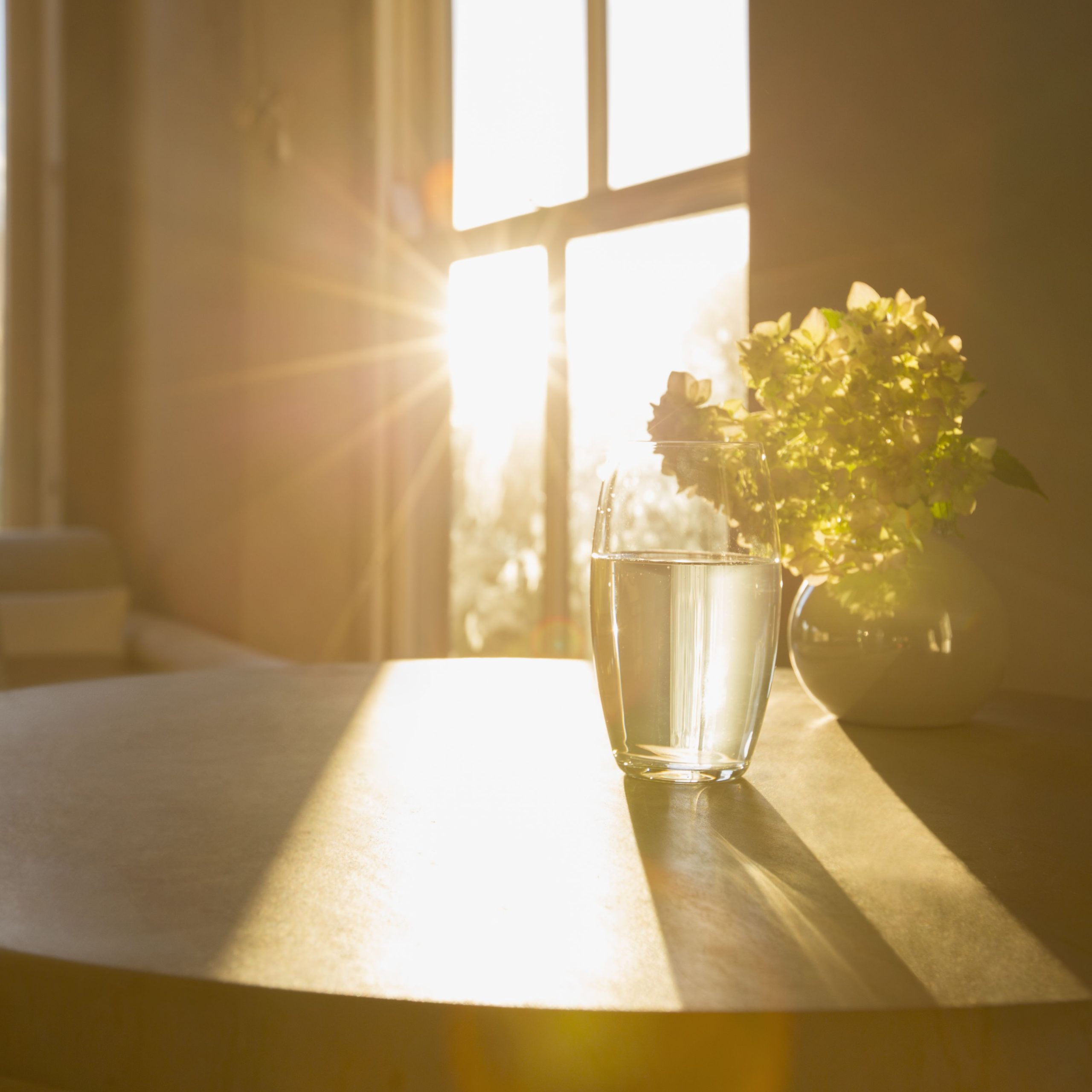 The Ultimate Guide to Window Washing: Pro Tips for Streak-Free Shine