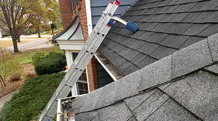 clean gutters