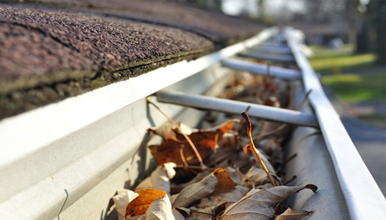 gutters with leaves