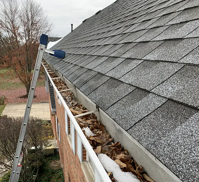 Fall gutter cleaning at a Chicago-area home