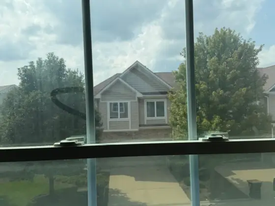 Window in Palatine, IL before window cleaning