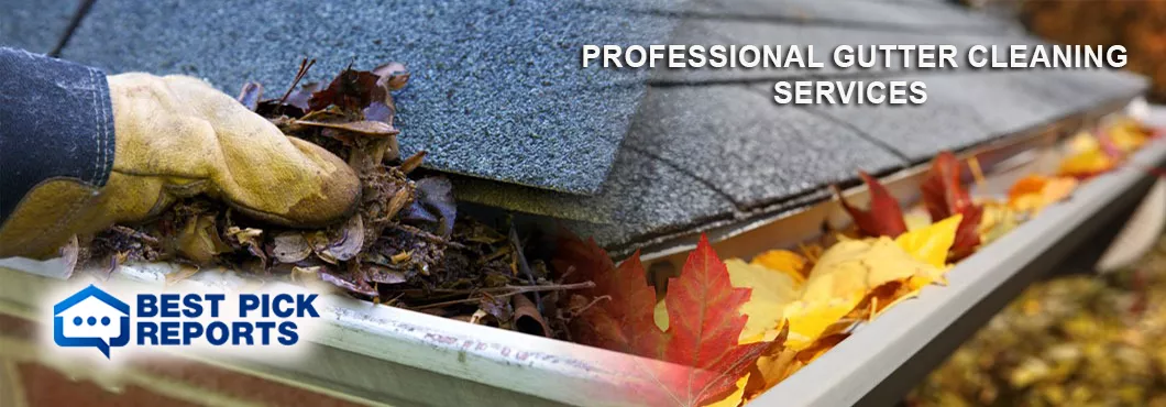 gutter cleaning company