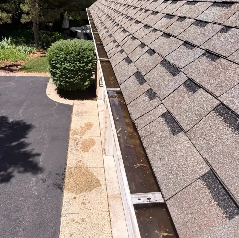 Gutter before cleaning &mdash; debris and standing water