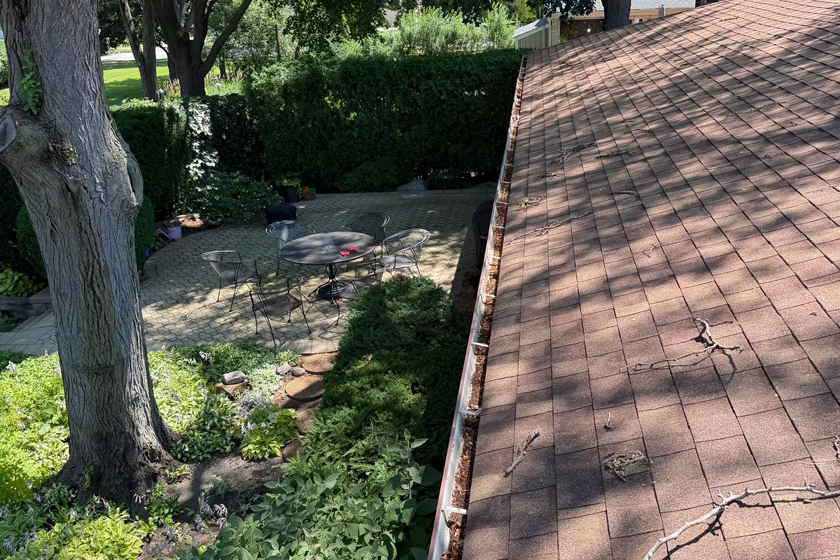 Gutter Cleaning before — Arlington Heights IL 1-story house