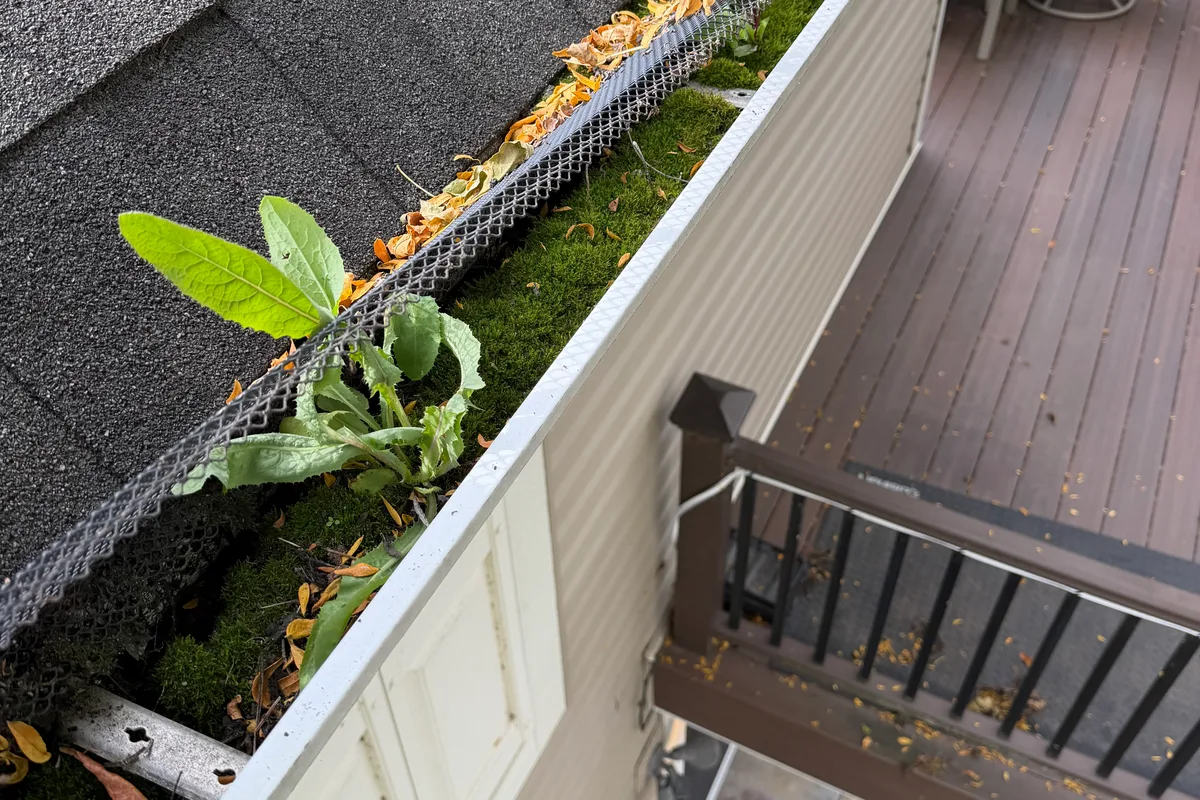 Gutter Cleaning before — Arlington Heights IL 2-story house