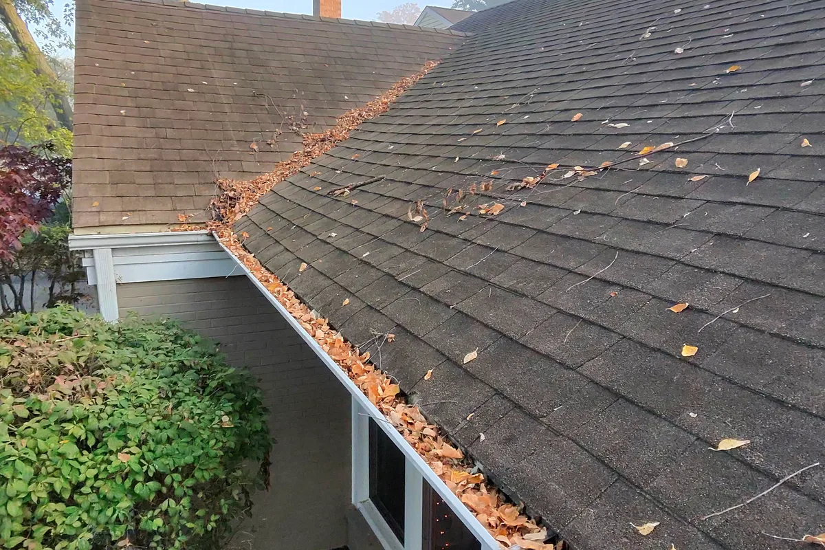 Gutter Cleaning before — Arlington Heights IL 1-story house