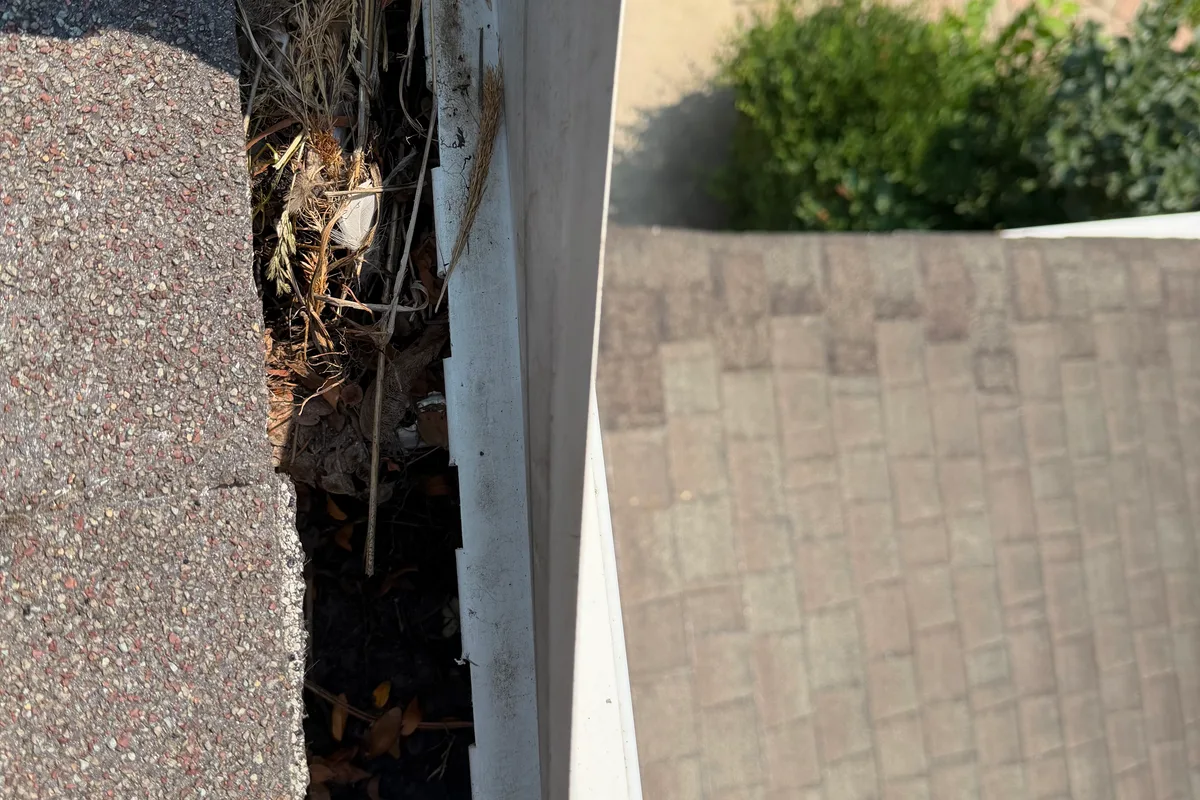 Gutter Cleaning before — Barrington IL 2-story house