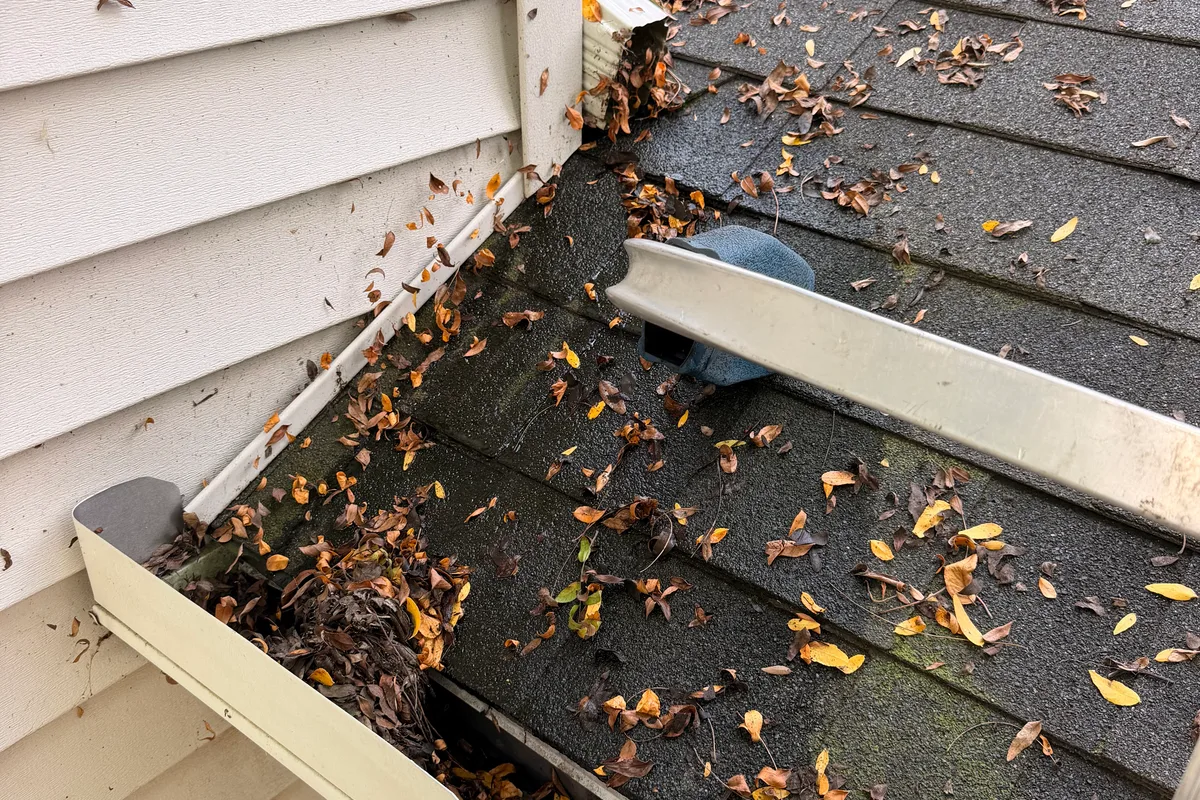 Gutter Cleaning before — Barrington IL 2-story house