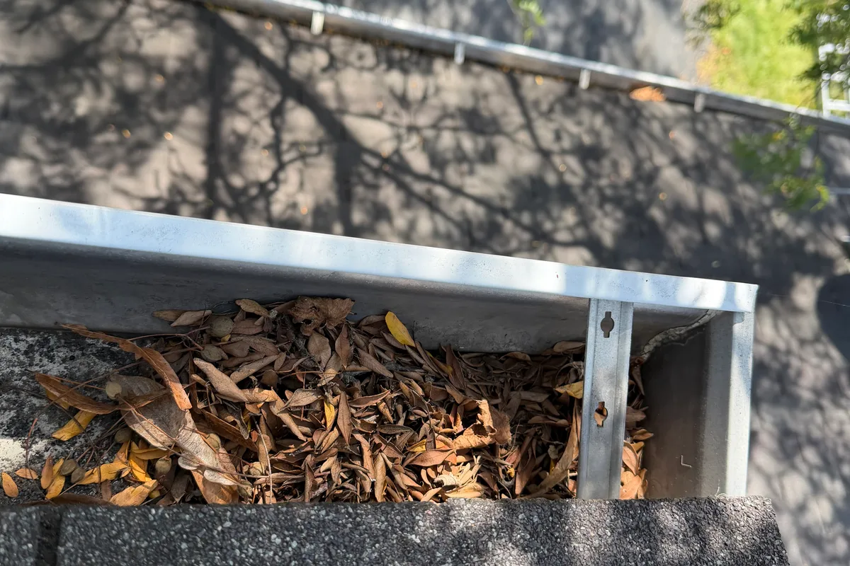 Gutter Cleaning before — Carol Stream IL 2-story house