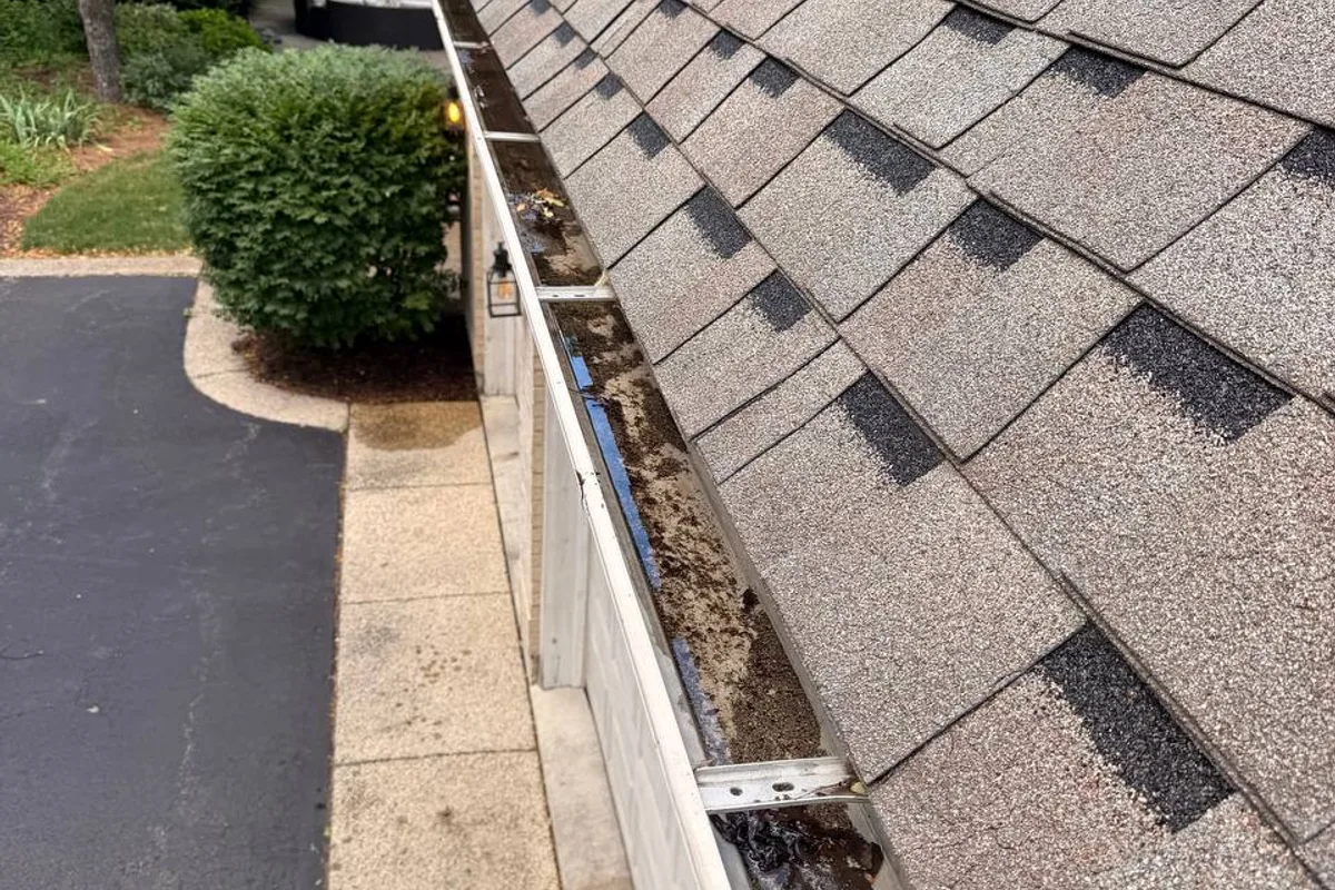Gutter Cleaning before — Cary IL 2-story house
