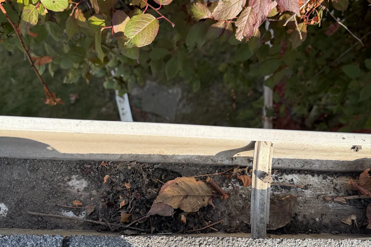 Gutter Cleaning before — Chicago IL 1-story house