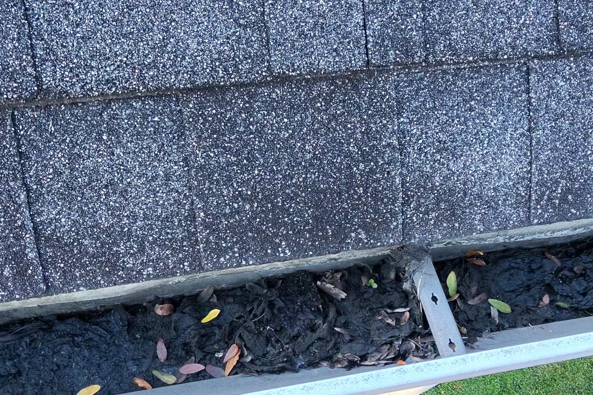 Gutter Cleaning before — Chicago IL 1-story house