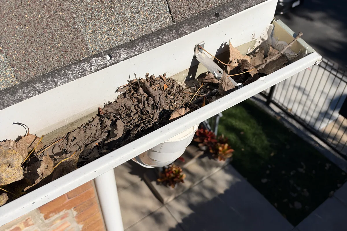 Gutter Cleaning before — Chicago IL 2-story house
