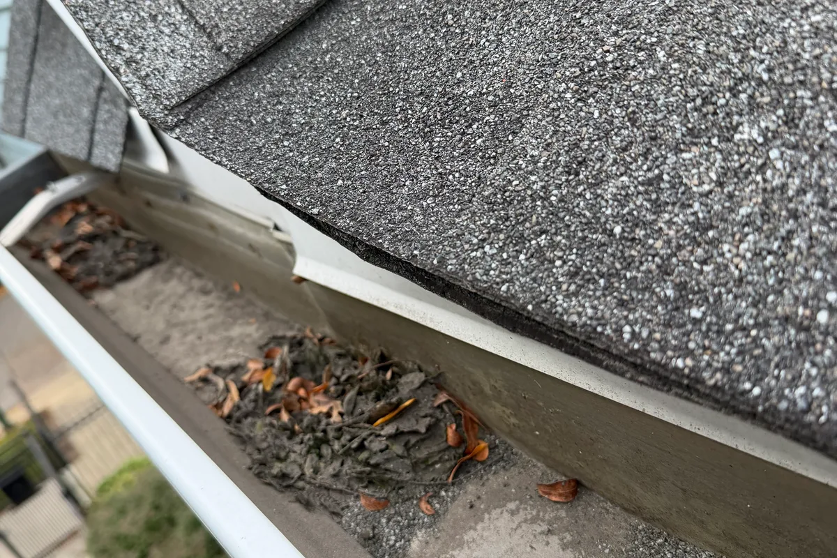 Gutter Cleaning before — Chicago IL 2-story house