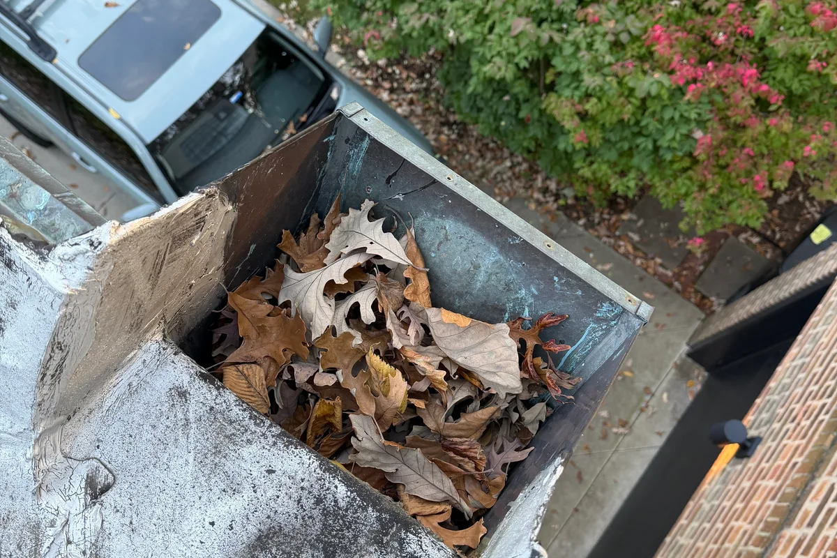 Gutter Cleaning before — Chicago IL 2-story house