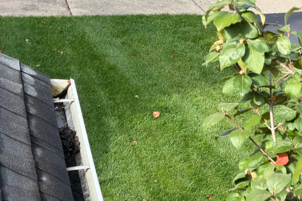 Gutter Cleaning before — Crystal Lake IL 2-story house