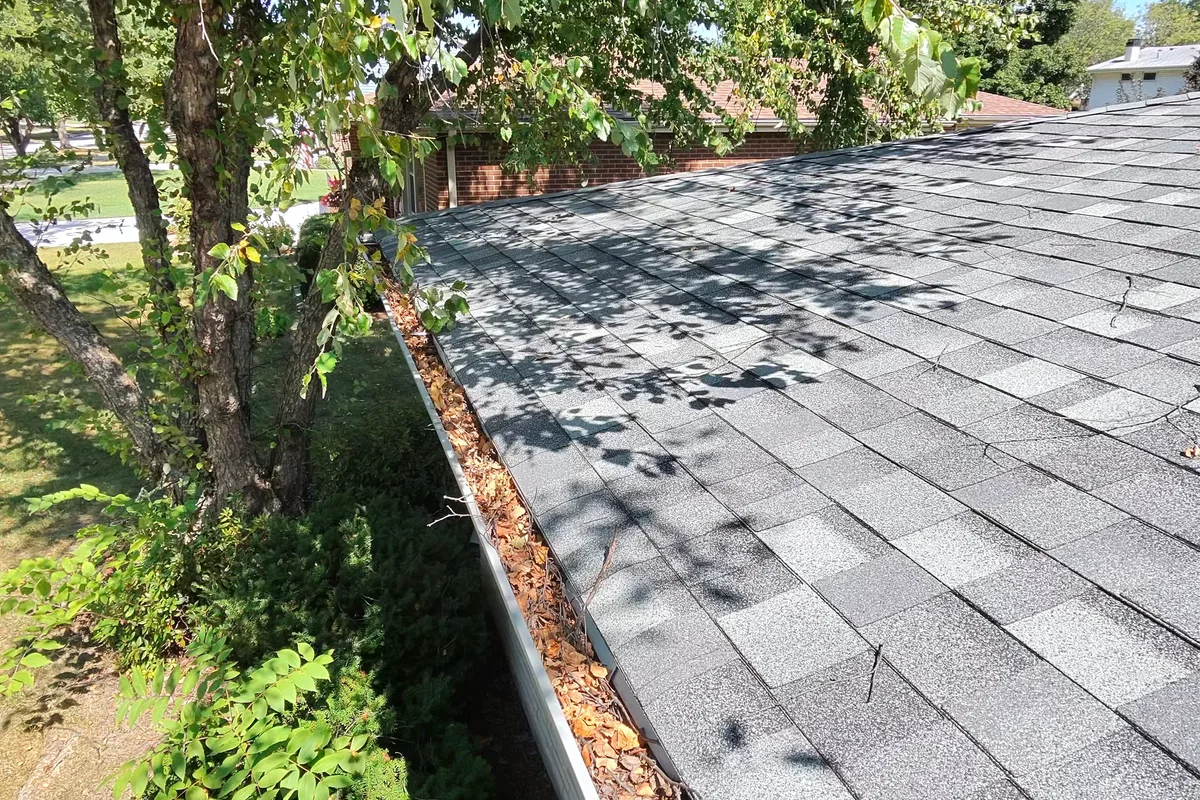 Gutter Cleaning before — Darien IL 2-story house