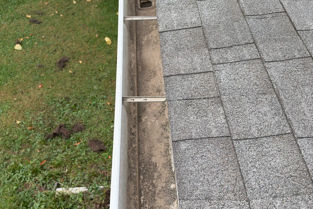 Gutter Cleaning — Des Plaines, IL