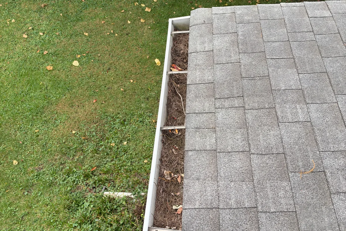 Gutter Cleaning before — Des Plaines IL 1-story house