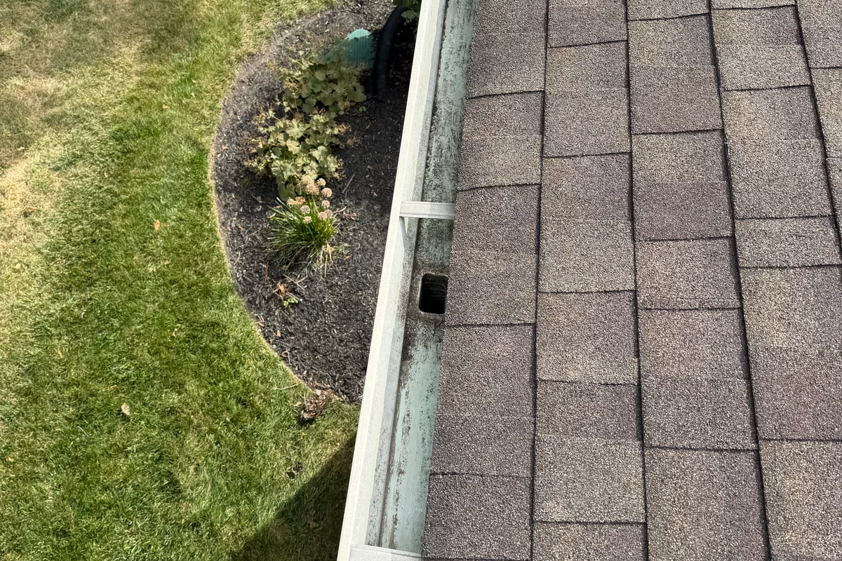 Gutter Cleaning — Elmhurst, IL
