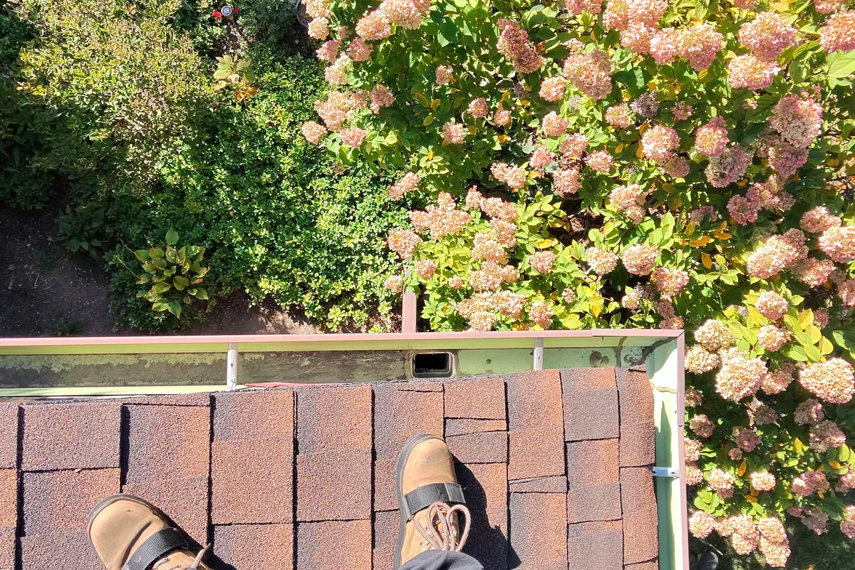 Gutter Cleaning — Evanston, IL