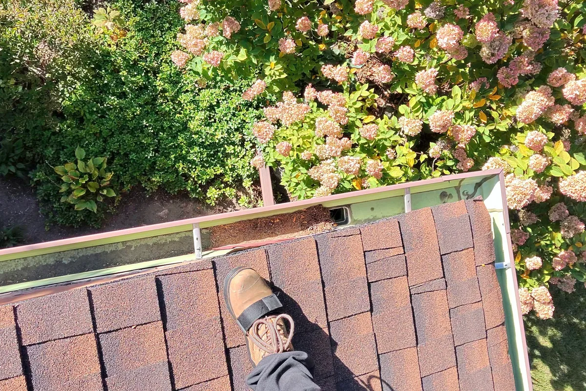 Gutter Cleaning before — Evanston IL 1-story house